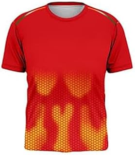 Punjab Cricket Jersey 2024 for Men & Boys(15-16Years) Multicolour